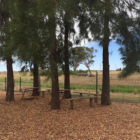 ホテルAussie Cabins ダボ エクステリア 写真