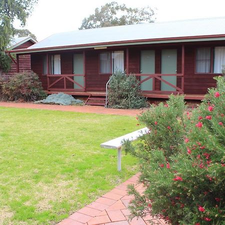 ホテルAussie Cabins ダボ 部屋 写真