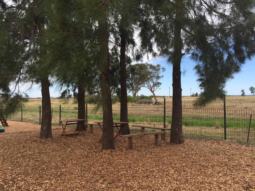 ホテルAussie Cabins ダボ エクステリア 写真