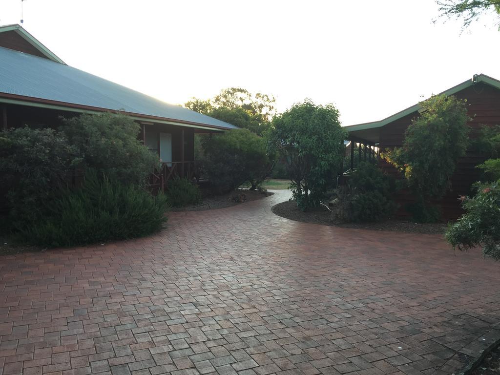 ホテルAussie Cabins ダボ エクステリア 写真