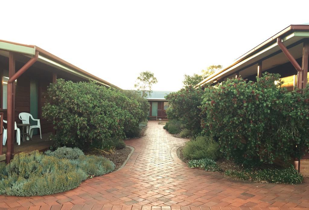 ホテルAussie Cabins ダボ エクステリア 写真