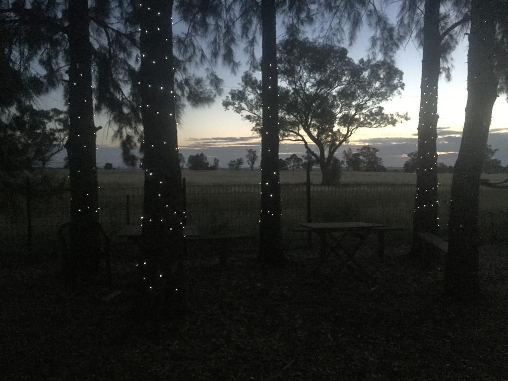 ホテルAussie Cabins ダボ エクステリア 写真