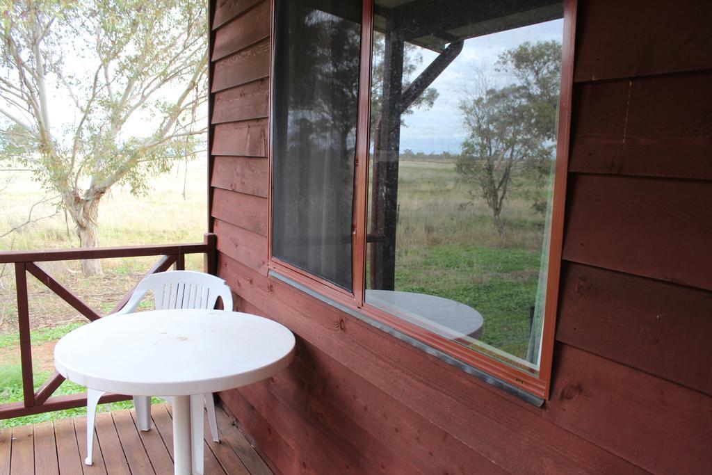 ホテルAussie Cabins ダボ 部屋 写真